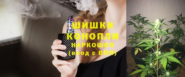 хмурый Белокуриха