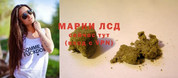 хмурый Белокуриха