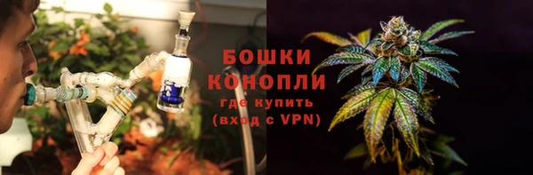 хмурый Белокуриха