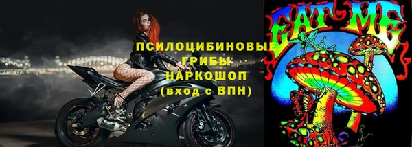 хмурый Белокуриха