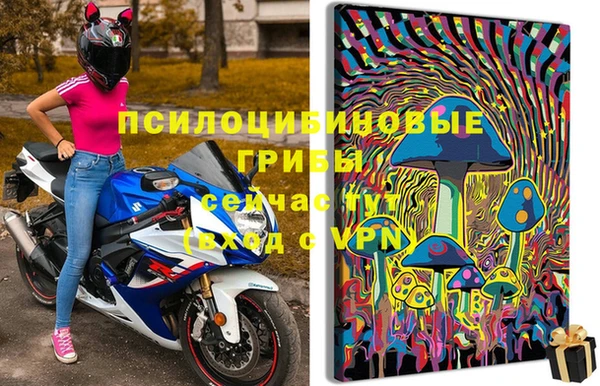 хмурый Белокуриха