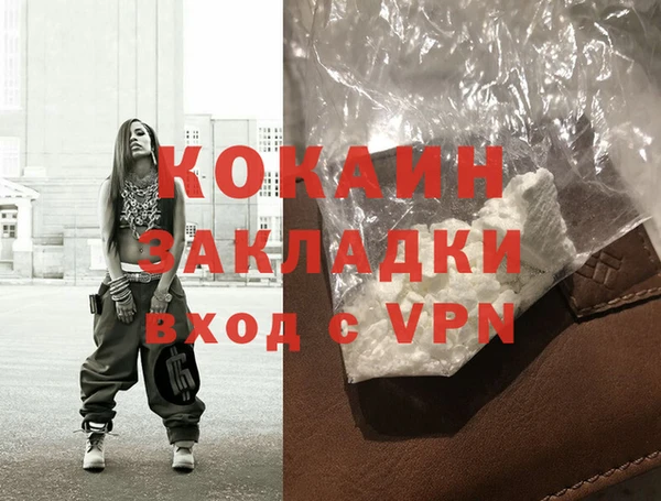 хмурый Белокуриха